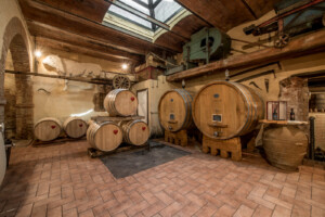 Elementi di arredo delle cantine turistiche-Fattoria del Colle Toscana
