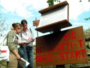 Trekking nei vigneti con degustazione Fattoria del Colle Toscana 