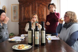 Degustazione Olio Fattoria del Colle (1)