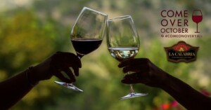 Wine suite Divinea rapporto 2025