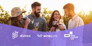 Wine suite Divinea rapporto 2025