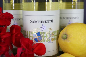 Sanchimento 2024 IGT Toscana - Toscana, Trequanda, Fattoria del Colle