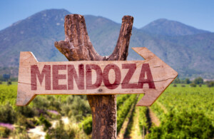 Malbec principale vitigno argentino