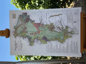 Con l'Academie Internationale du Vin alla scoperta del Pinot Noir in Oregon