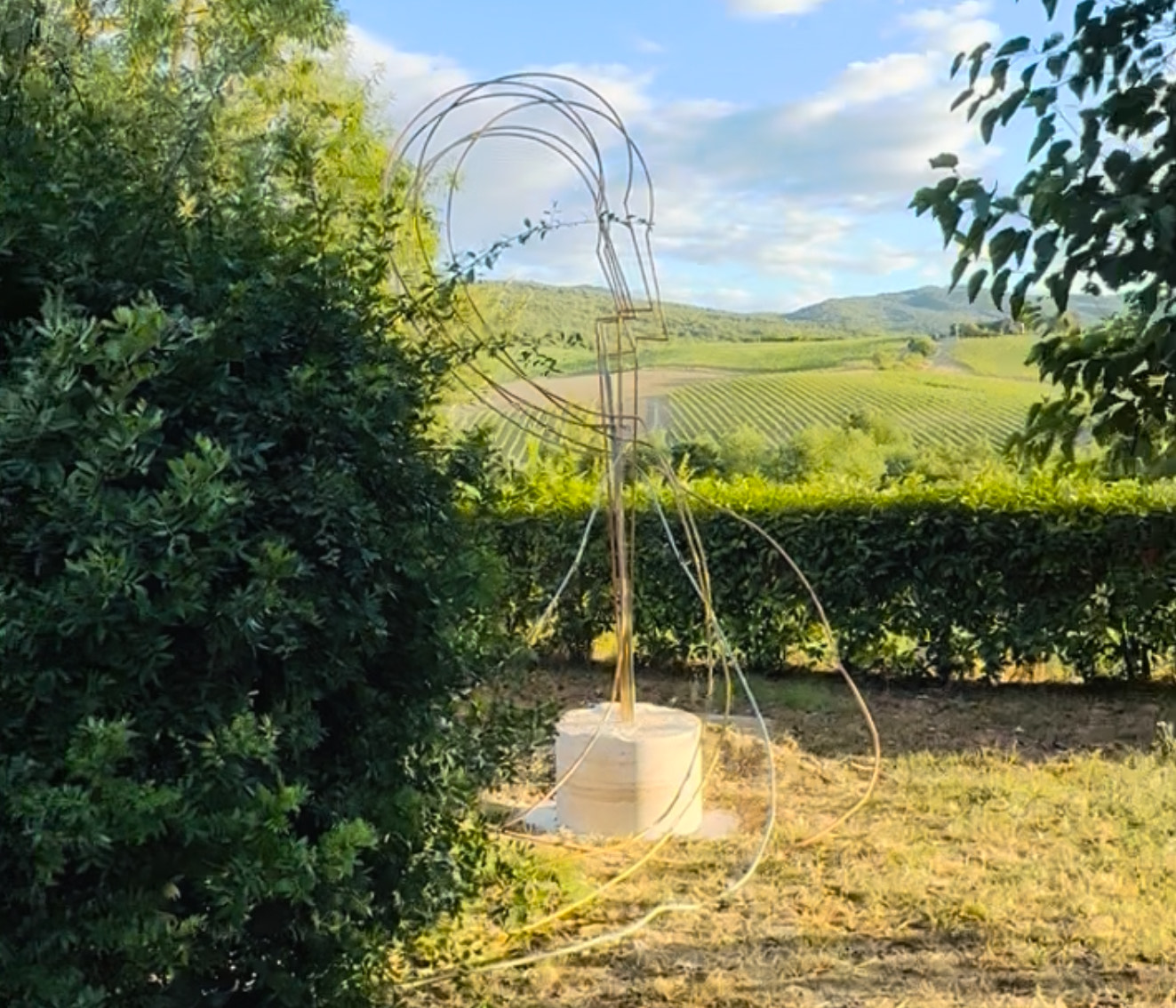 Ciclo infinito endless circle di Giulia Lapenta 2025 Casato Prime Donne Montalcino