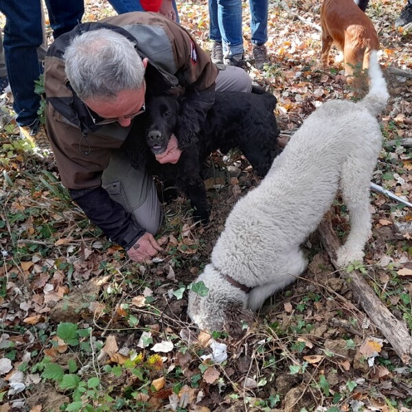 Fattoria-del-Colle-caccia-al-tartufo