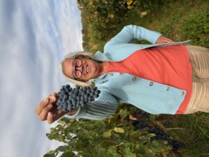 Toscana vendemmia 2025 Donatella Cinelli Colombini