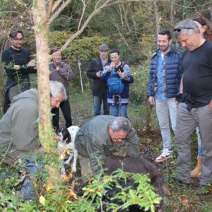 IMG_8150