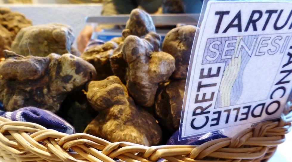 Tartufi bianche delle Crete senesi