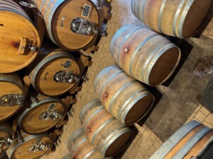 Botti nuove in cantina Toscana Brunello Casato Prime Donne Montalcino