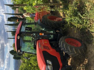 Trattore in vendemmia, Toscana Fattoria del Colle Trequanda