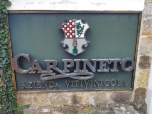 Carpineto Vin Santo del Chianti