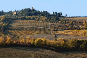 Castello di Sonnino Caterina De Renzis Vin Santo
