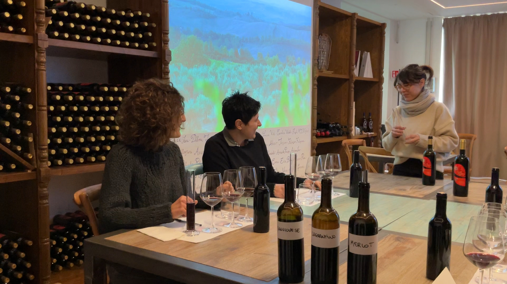 esperienze enoturistiche Ebologo per un giorno Fattoria del Colle Toscana Donatella Cinelli Colombini