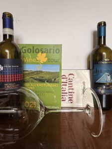 Go wine - Golosario Wine Tour guide enoturistiche