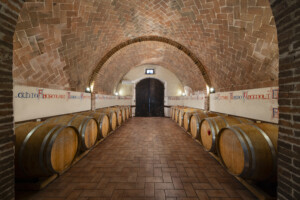 Toscana Fattoria del Colle cantina