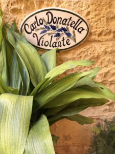 Donatella Cinelli Colombini's hose in gozo, Malta