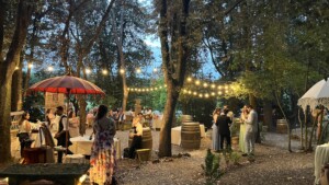 Matrimonio Toscana Fattoria del Colle taglio della torta nel boschetto