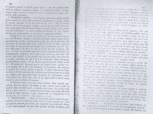 Donatella-Cinelli-Colombini-Foglia-Tonda-STUDI AMPELOLOGICI NEL CIRCONDARIO DI SIENA 1881