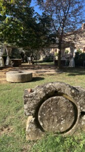 Parco dell'antico Frantoio alla Fattoria del Colle