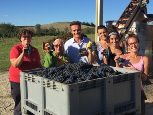 2016 harvest in Montalcino, Casato Prime Donne Donatella Cinelli Colombini